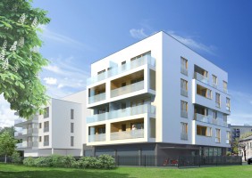 zdjęcie Krypska 20
