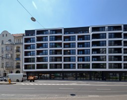 zdjęcie Wyszyńskiego 56