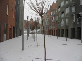 zdjęcie Małe Naramowice Rynek