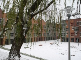 zdjęcie Małe Naramowice Rynek