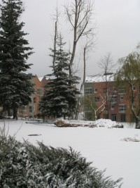 zdjęcie Małe Naramowice Rynek
