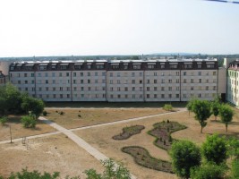 zdjęcie Opalowej