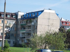zdjęcie Budryka 4