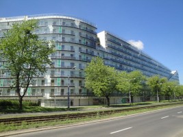 zdjęcie Banderii 4