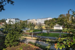 zdjęcie Park Centralny