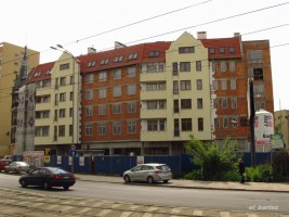 zdjęcie Firlika 29