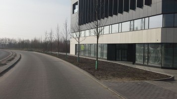 zdjęcie Quartz Office