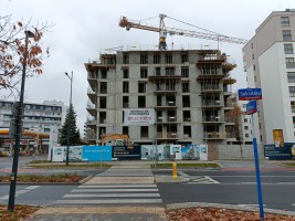 zdjęcie Sokratesa 11A