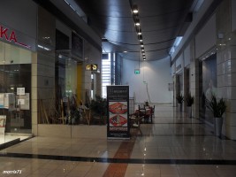 zdjęcie Platinum Towers