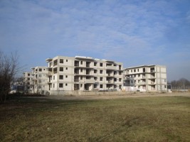 zdjęcie Ryżowa Park