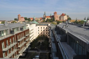 zdjęcie Angel Wawel