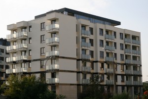 zdjęcie Dalanowska 46