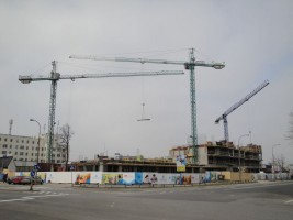 zdjęcie Na Romera