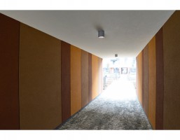 zdjęcie Orlińskiego 8