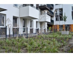 zdjęcie Orlińskiego 8