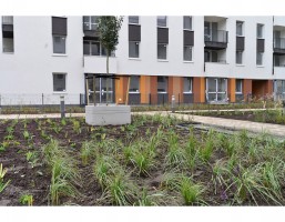 zdjęcie Orlińskiego 8