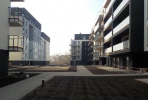 zdjęcie Chojny Park