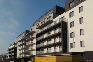 zdjęcie Chojny Park