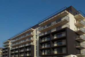 zdjęcie Chojny Park