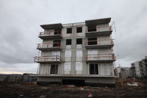 zdjęcie Cztery Pory Roku