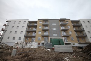 zdjęcie Cztery Pory Roku