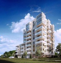 zdjęcie Young City 2