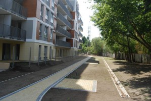 zdjęcie Dąbie Park