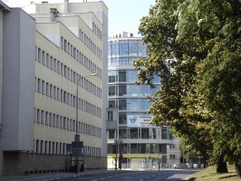 zdjęcie Temida