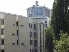 zdjęcie Temida