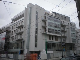 zdjęcie Nowa Wilda