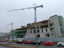 zdjęcie Abrahama 14