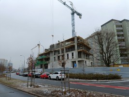 zdjęcie Abrahama 14