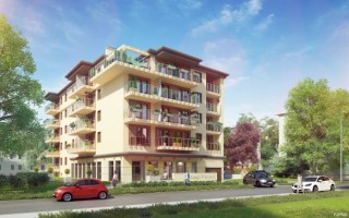 zdjęcie Małego Franka 4