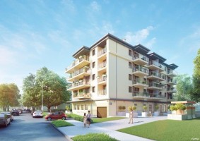 zdjęcie Małego Franka 4