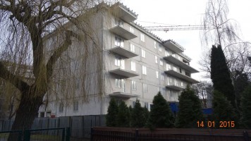 zdjęcie Małego Franka 4