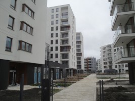 zdjęcie Nocznickiego