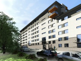 zdjęcie Bohomolca 1