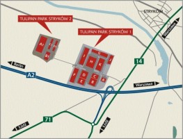 zdjęcie Tulipan Park Stryków