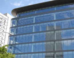 zdjęcie Grzybowskiej Park