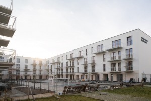 zdjęcie Supernova