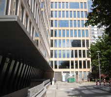 zdjęcie Grzybowskiej Park