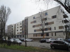 zdjęcie Saskalia
