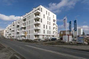 zdjęcie Polanka Milczańska