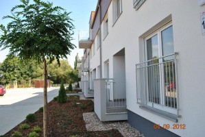 III etap