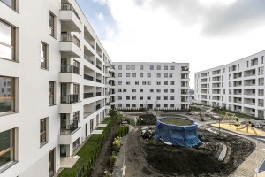 zdjęcie Polanka Milczańska