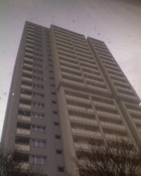 zdjęcie Haperowiec