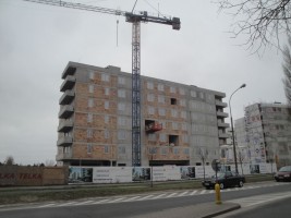 zdjęcie Conrada 3