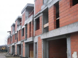 zdjęcie Czerwona Jarzębina - Etap I