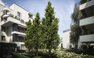 zdjęcie Włodarzewska 59