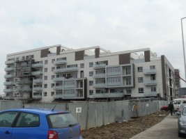 zdjęcie Ogrody Grabiszyńskie